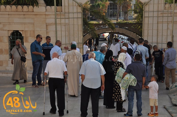 salah 3eed 7sanbejk (28).JPG